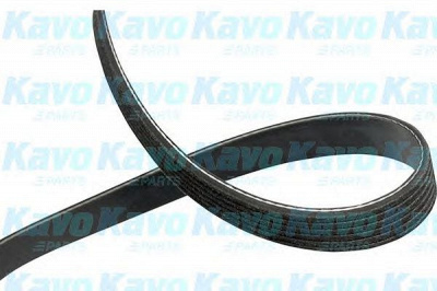 KAVO PARTS dmv1037 -  Поликлиновой ремень